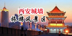 撸大逼aaa中国陕西-西安城墙旅游风景区
